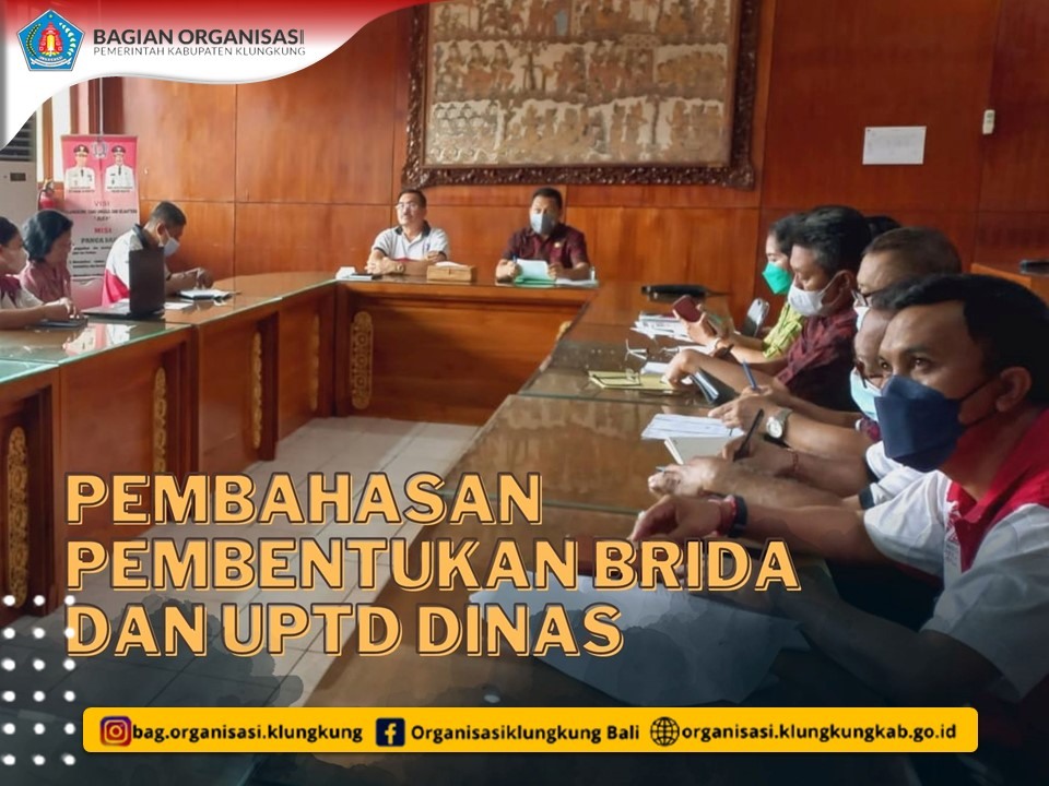 PEMBAHASAN PEMBENTUKAN BRIDA DAN UPTD DINAS